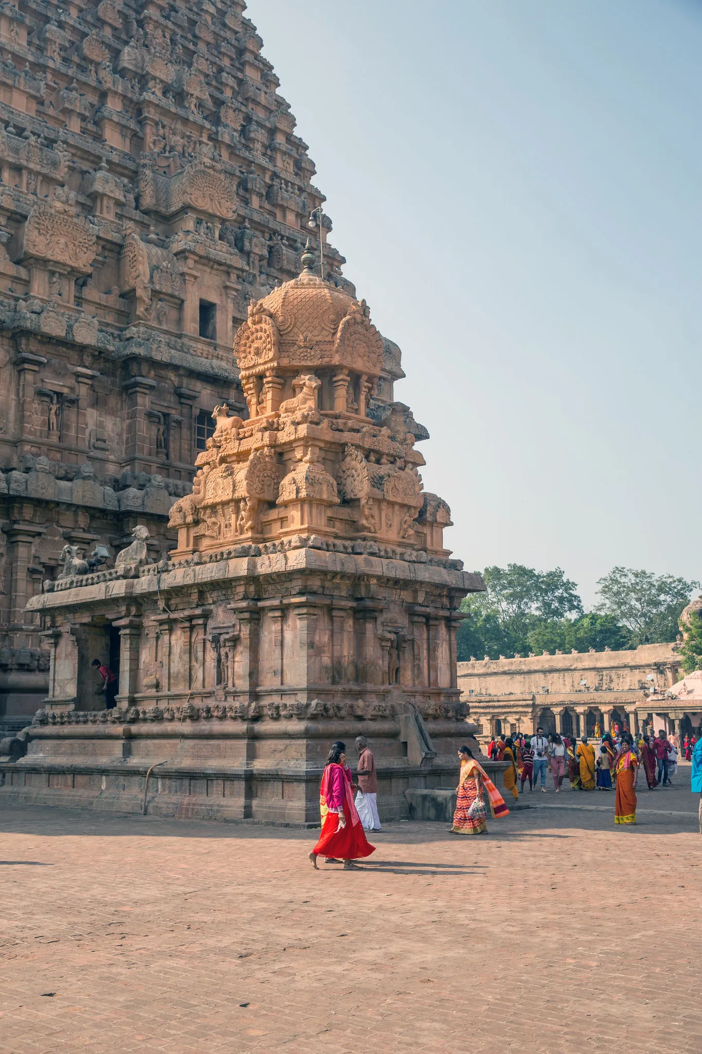 Davide 2 Brihadesvara Temple Tanjavur India