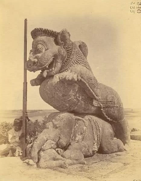 Lion over elephant