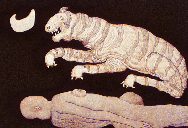 Tiger in the Moonlight (source jogenchowdhury.net)