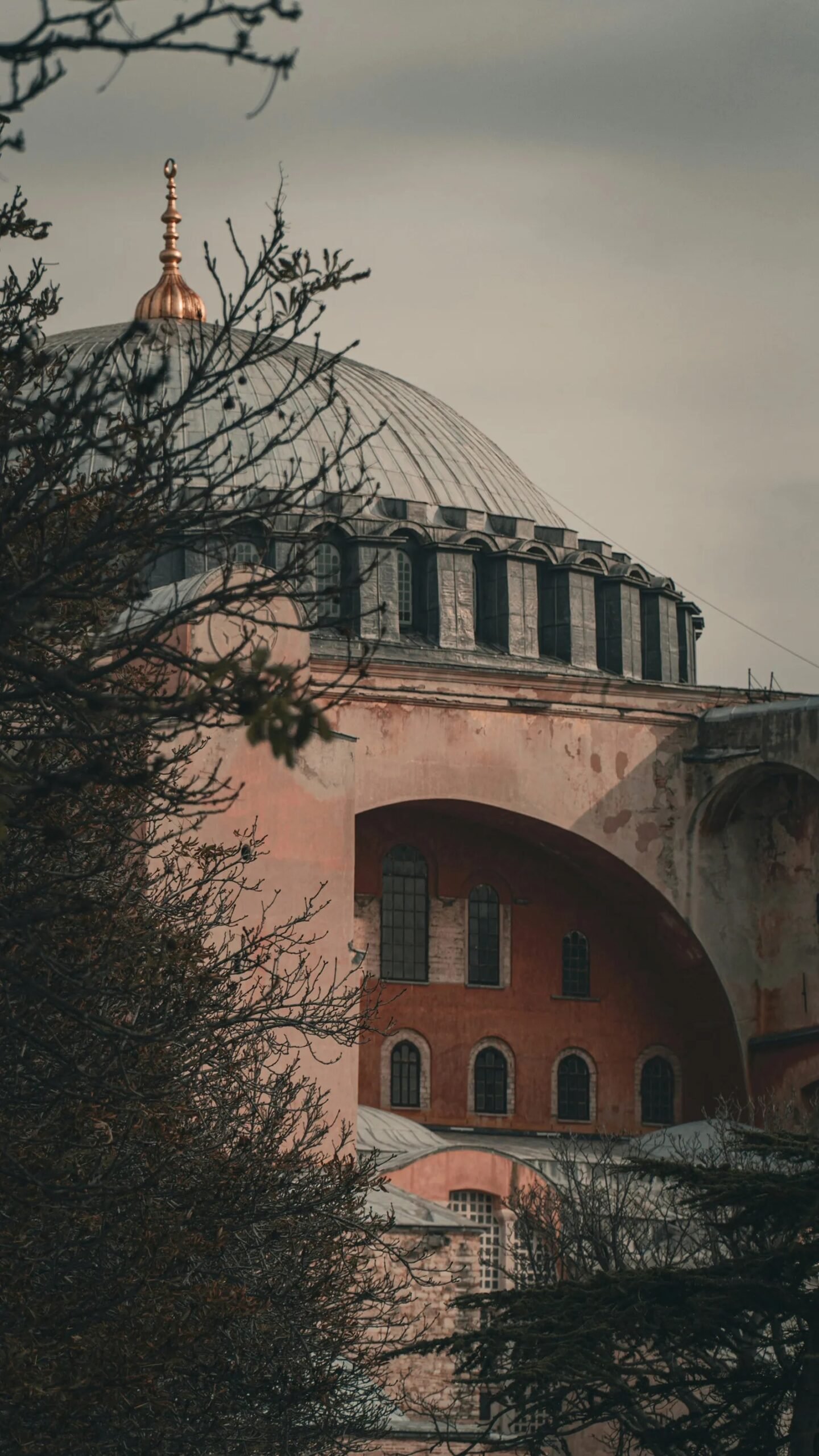edib bildiren Hagia Sophia Grand Mosque Bizantine © Dmitry Limonov