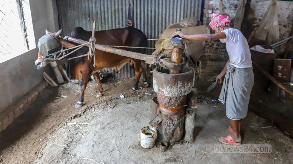 A traditional oil mill for Mustard oil preparation